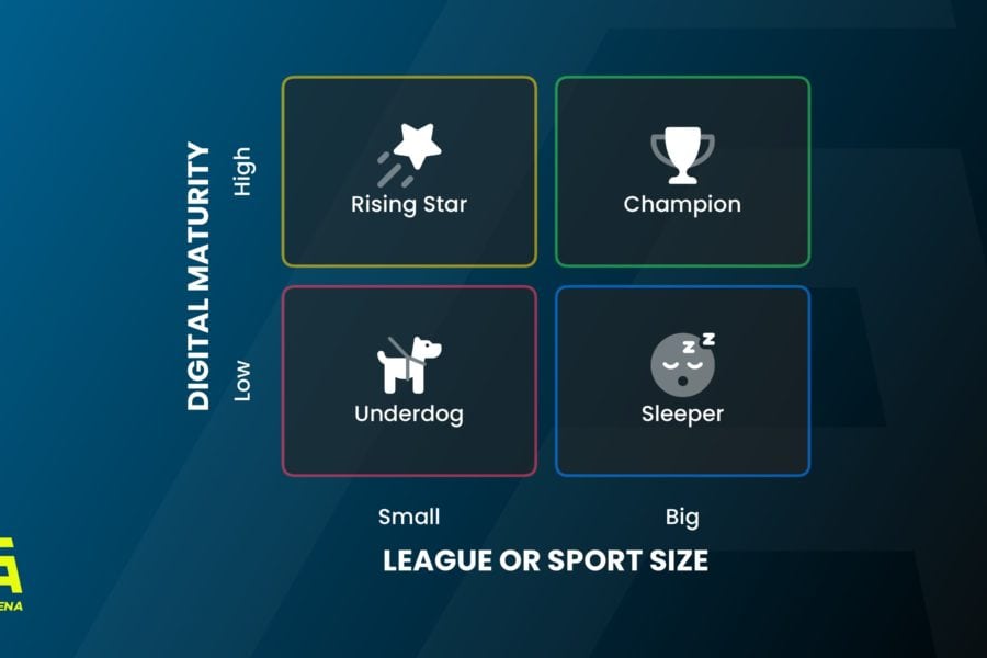 Maturity Size Matrix Fantasy Sports