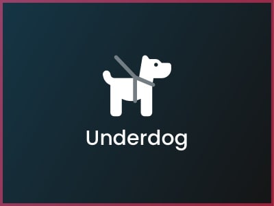 Low Digital Maturity, Small Sport: "Underdog"